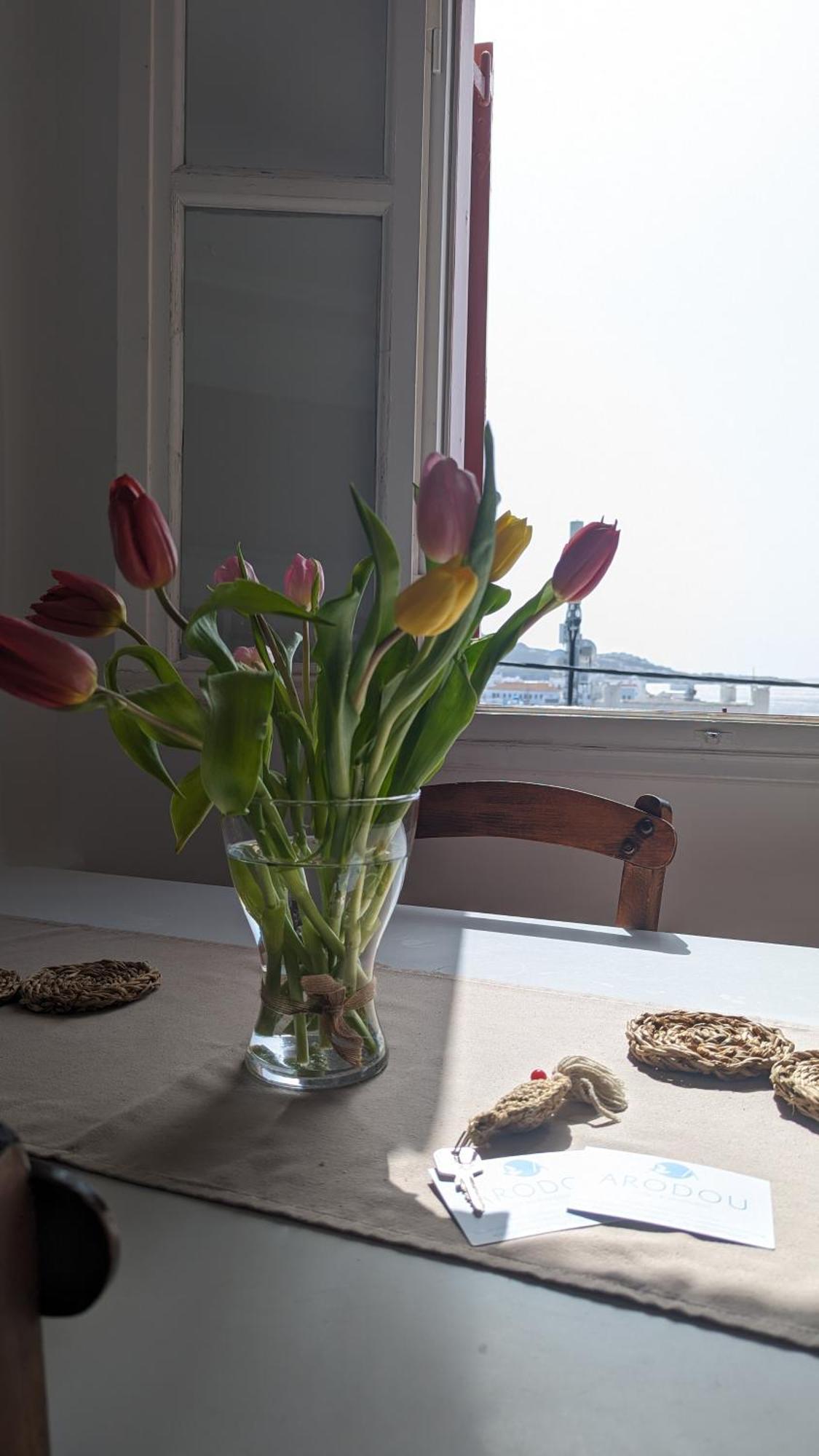 Arodou Studio And Apartment Mykonos Town Екстериор снимка