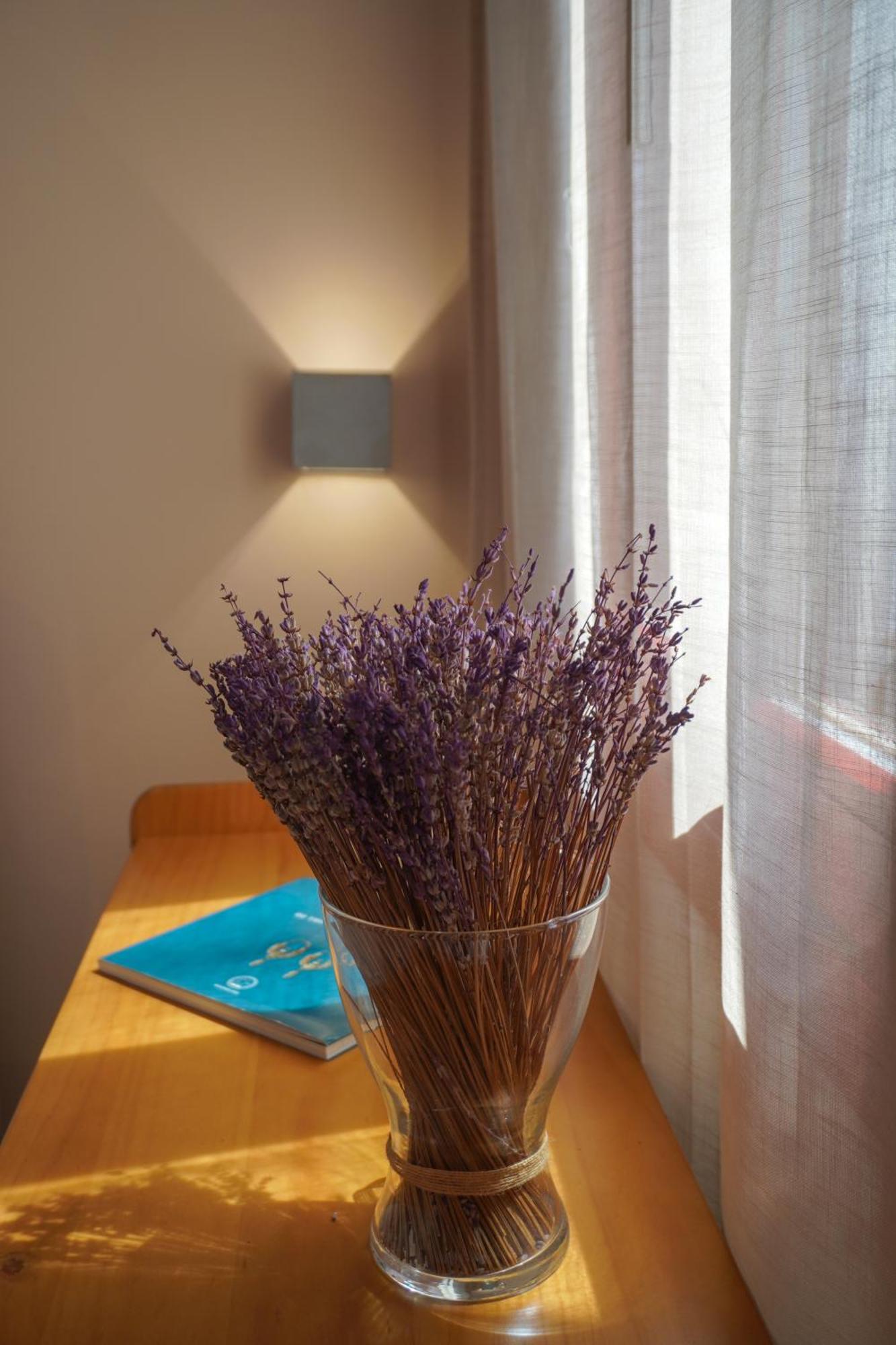 Arodou Studio And Apartment Mykonos Town Екстериор снимка